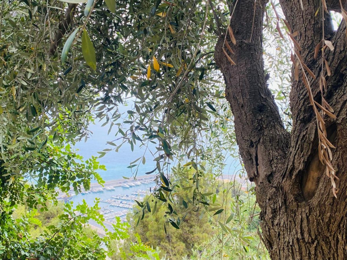 “Da Senso” Relax Nel Verde Vista Mare Finale Ligure Kültér fotó