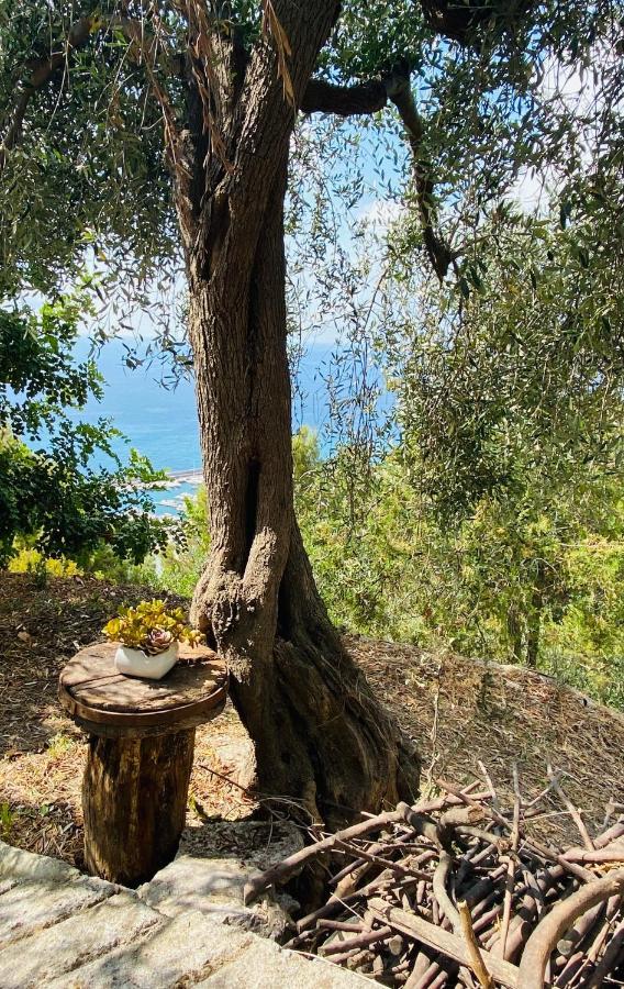 “Da Senso” Relax Nel Verde Vista Mare Finale Ligure Kültér fotó